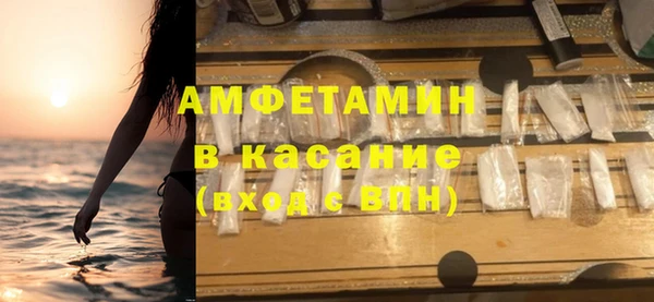ПСИЛОЦИБИНОВЫЕ ГРИБЫ Каменка
