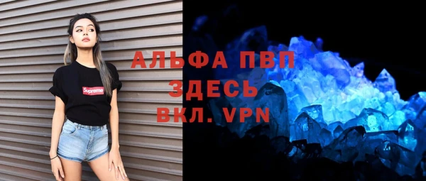 ПСИЛОЦИБИНОВЫЕ ГРИБЫ Каменка