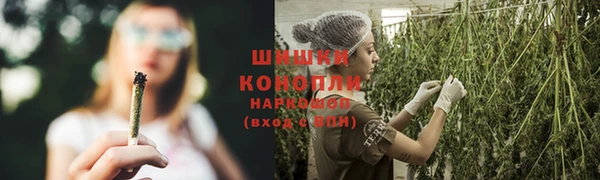 прущие крисы Каменногорск