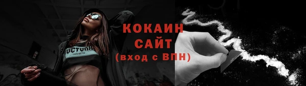 ПСИЛОЦИБИНОВЫЕ ГРИБЫ Каменка