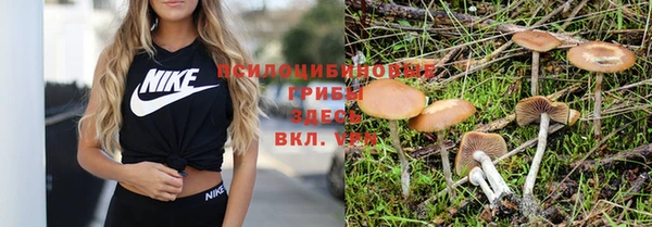 mdma Каменск-Шахтинский