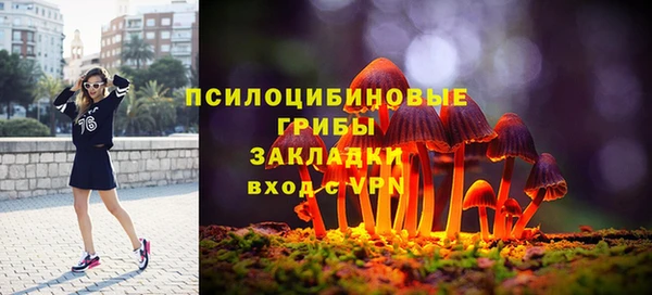прущие крисы Каменногорск